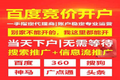 案例研究：信息流广告投放优化