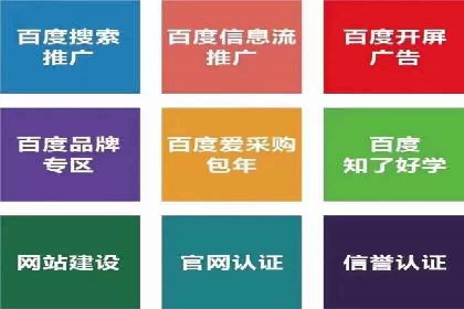 行业领先企业的SEM运营策略案例解析